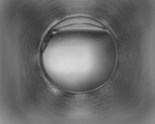 X0000056341181200509091522