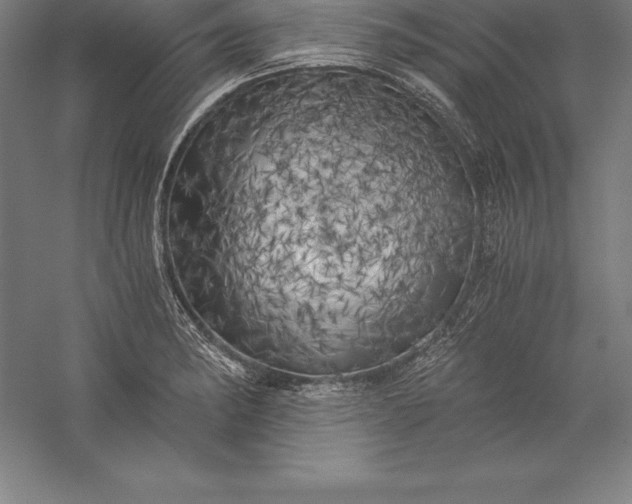 X0000056341182200509091522