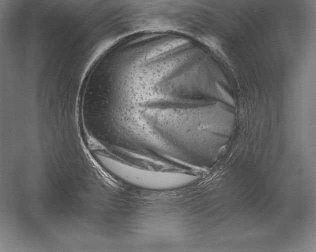 X0000056341183200509091522