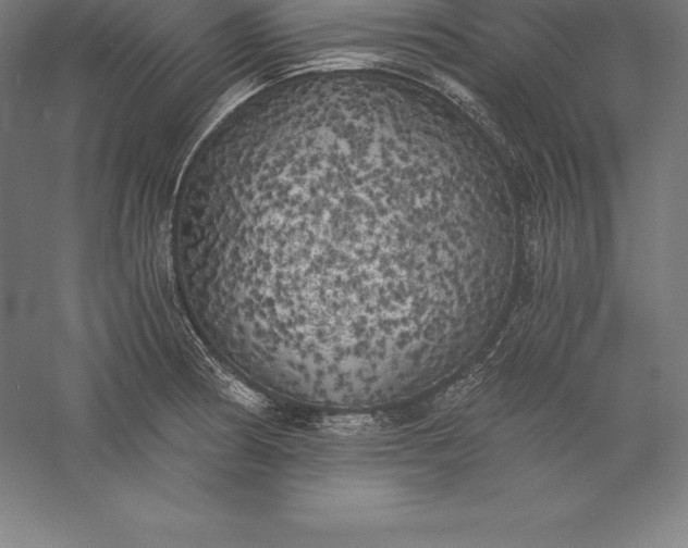 X0000056341186200509091522