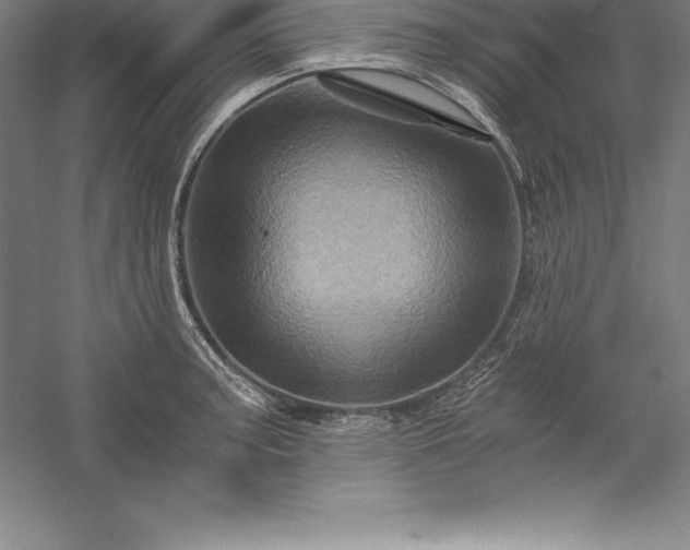 X0000056341187200509091522