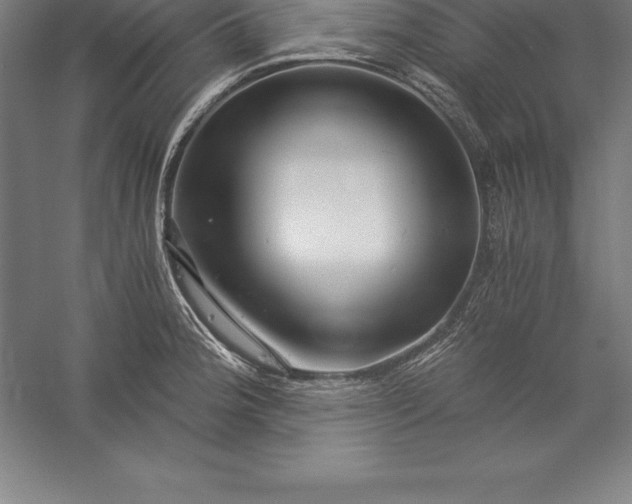 X0000056341188200509091522