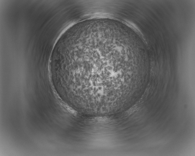 X0000056341190200509091522