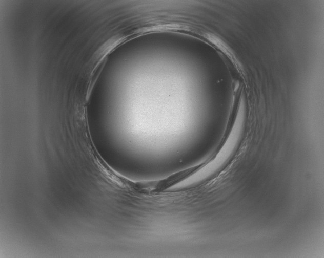 X0000056341193200509091522