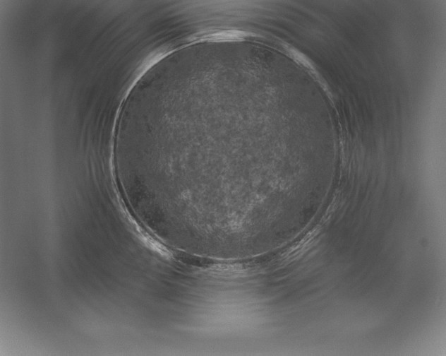 X0000056341194200509091522