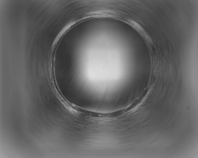 X0000056341196200509091522