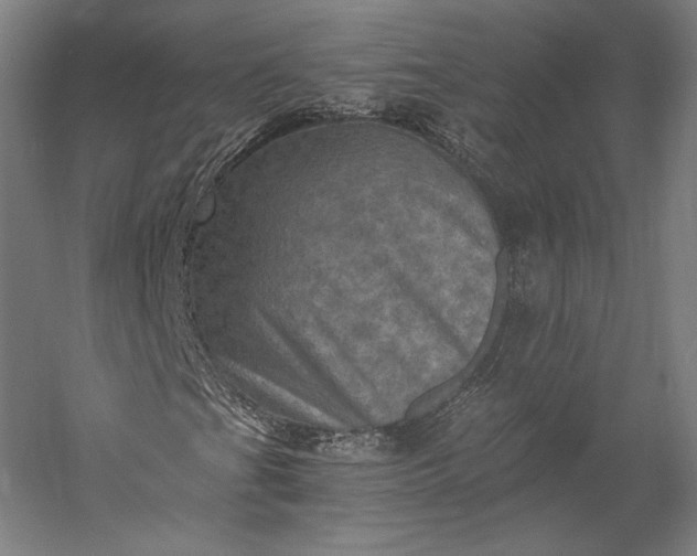 X0000056341201200509091521