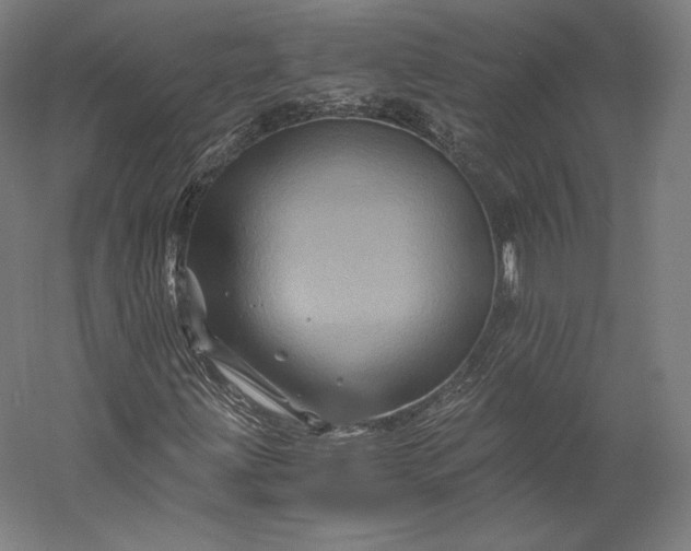 X0000056341203200509091521