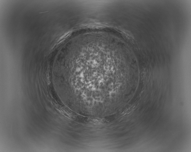 X0000056341205200509091521
