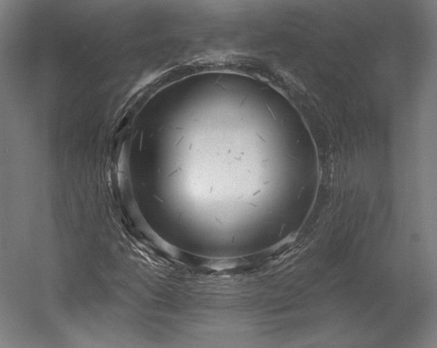 X0000056341206200509091521