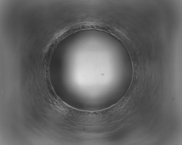 X0000056341207200509091521