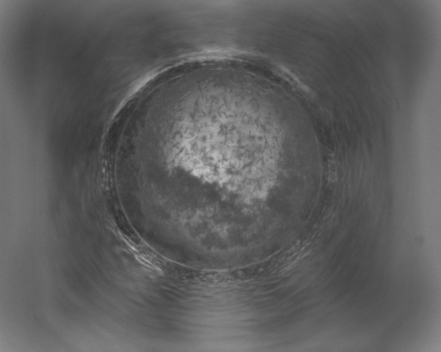 X0000056341208200509091521