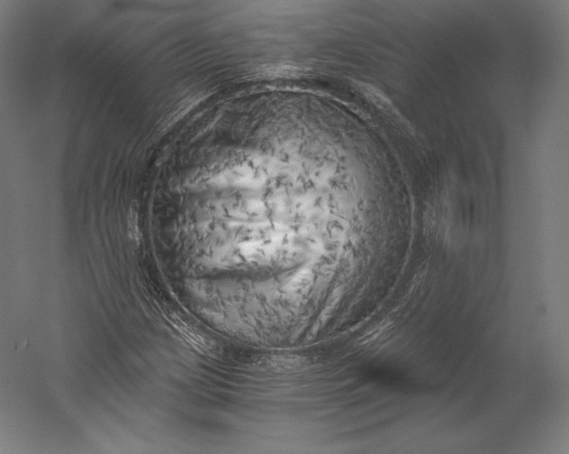 X0000056341209200509091521