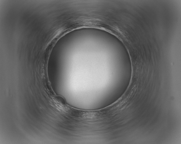 X0000056341211200509091521