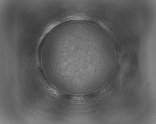 X0000056341215200509091521