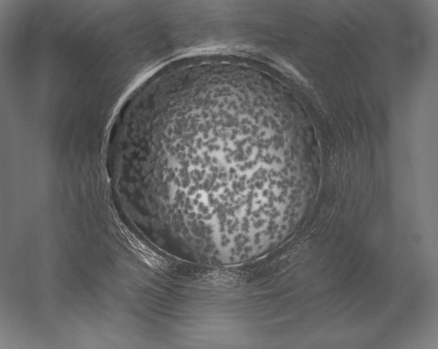 X0000056341216200509091521