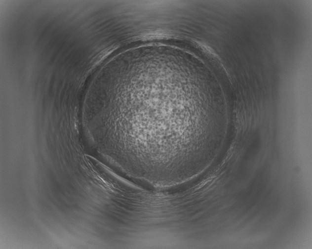 X0000056341217200509091521