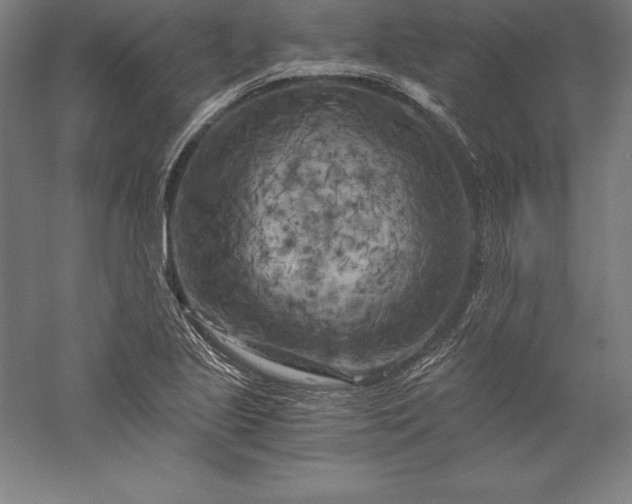X0000056341221200509091521