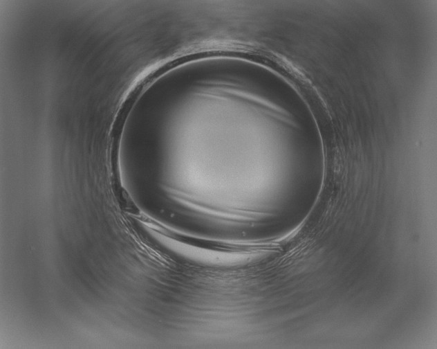 X0000056341222200509091521
