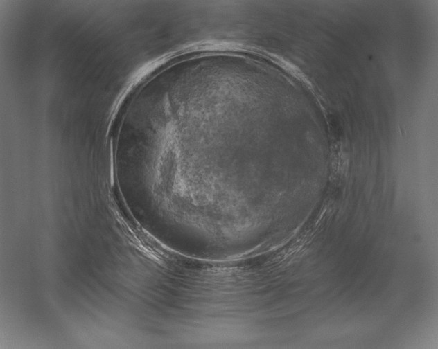 X0000056341223200509091521