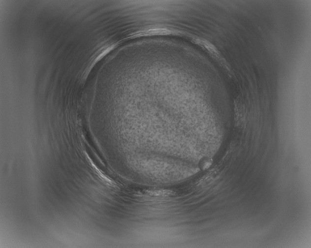 X0000056341225200509091521