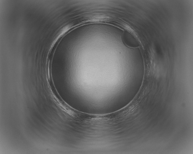 X0000056341227200509091521