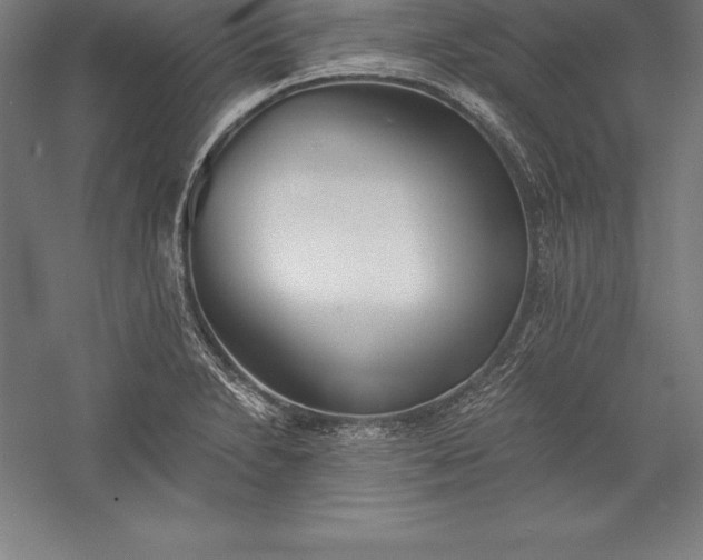 X0000056341230200509091522