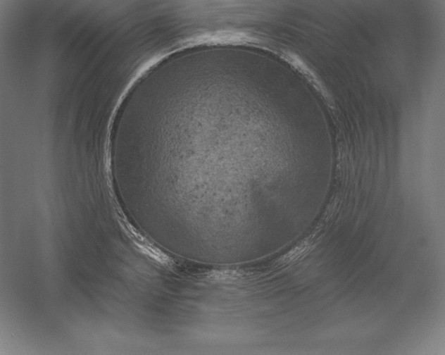 X0000056341232200509091522