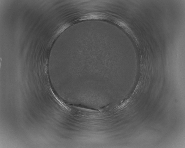 X0000056341233200509091522