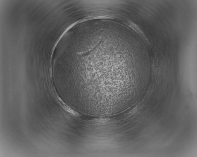 X0000056341236200509091522