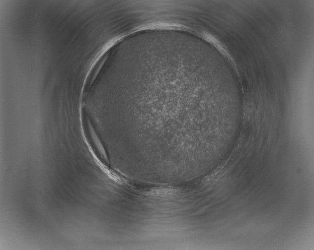 X0000056341237200509091522