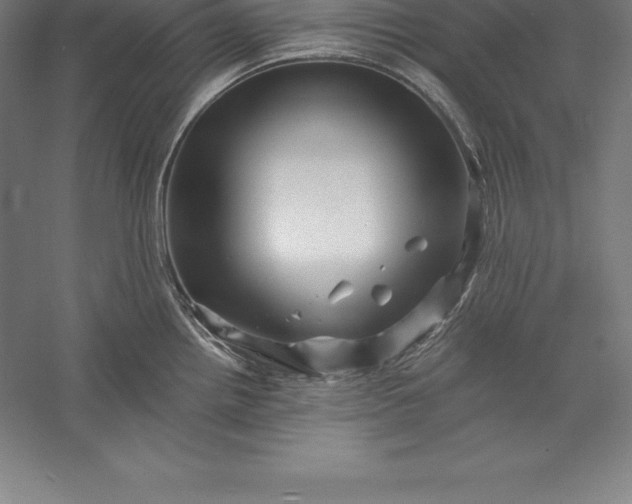 X0000056341242200509091522