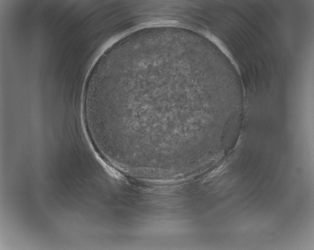 X0000056341245200509091522