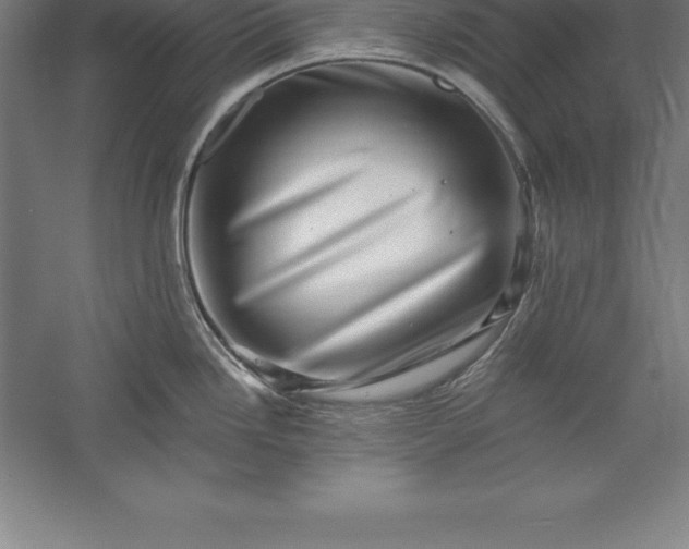 X0000056341246200509091522