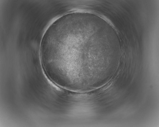 X0000056341247200509091522