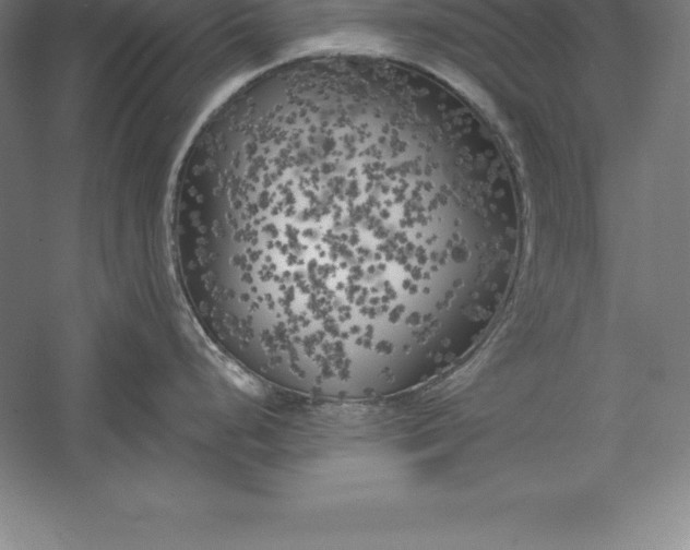 X0000056341248200509091522