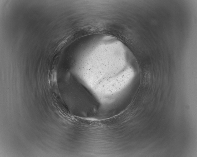 X0000056341250200509091521