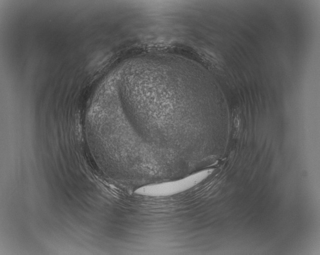 X0000056341252200509091521