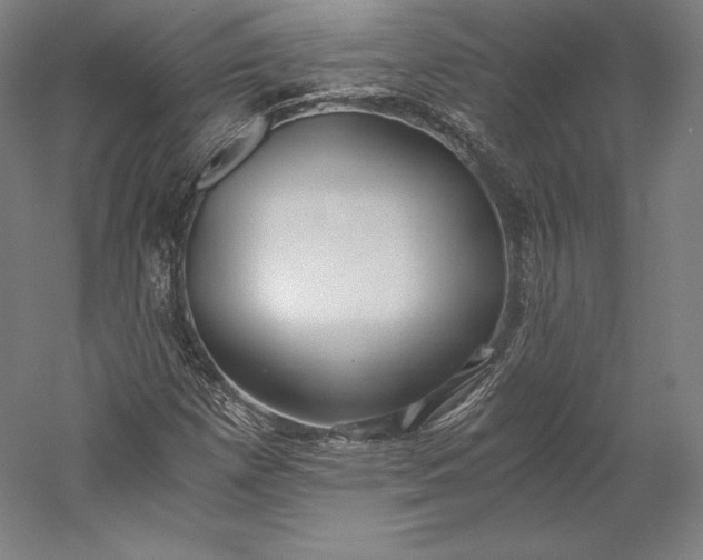 X0000056341257200509091521