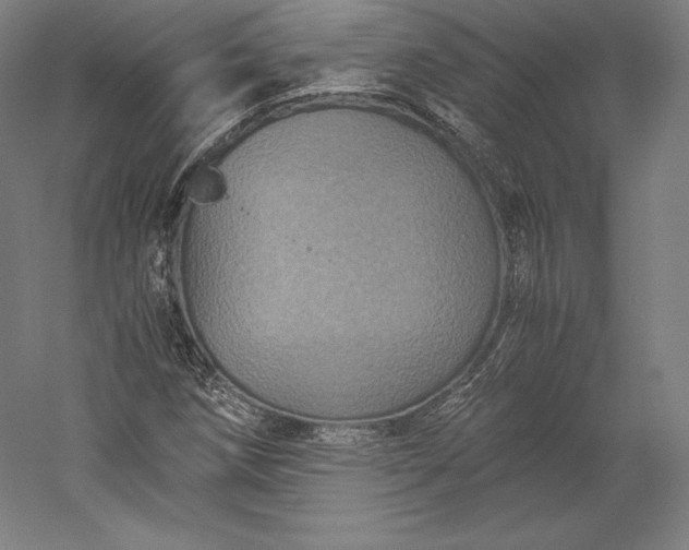 X0000056341258200509091521
