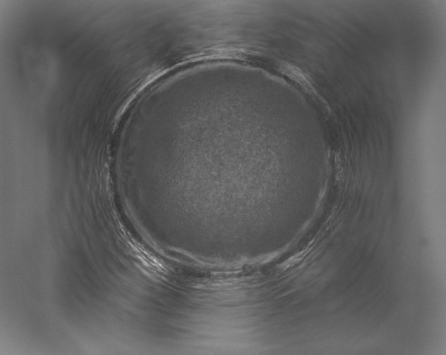 X0000056341260200509091521
