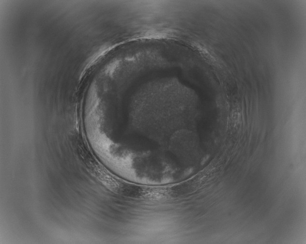 X0000056341262200509091521