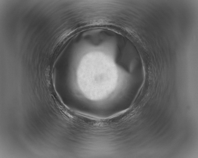 X0000056341265200509091521