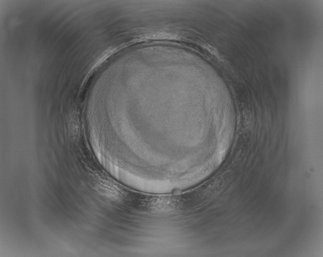 X0000056341266200509091521