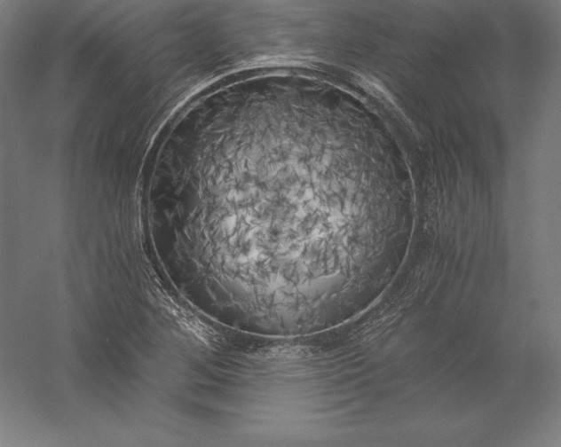 X0000056341268200509091521