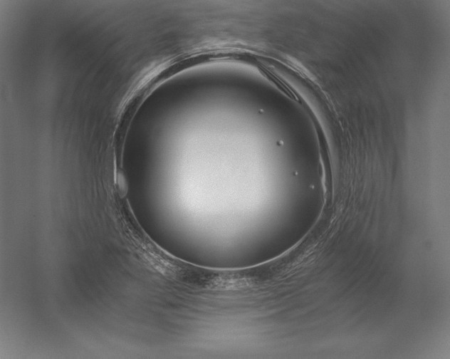 X0000056341269200509091521