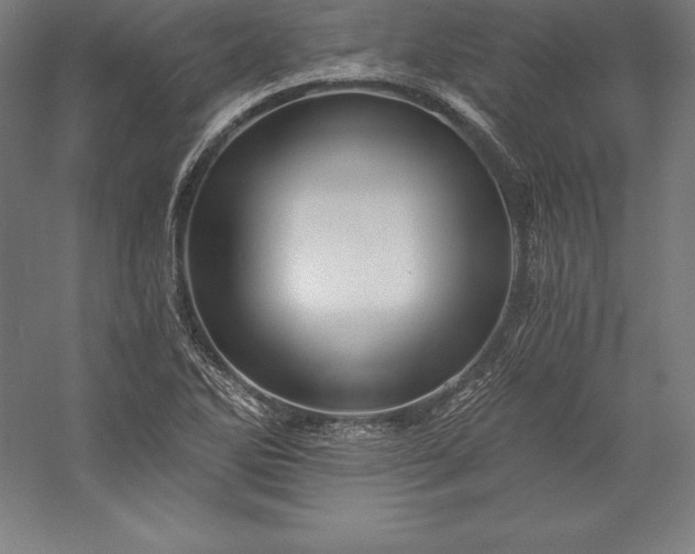 X0000056341270200509091521