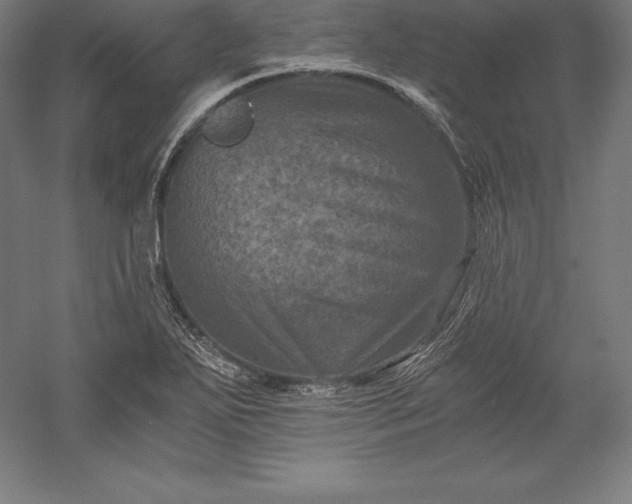 X0000056341271200509091521