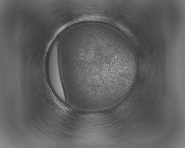 X0000056341272200509091521