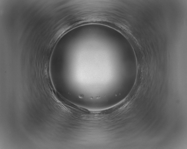 X0000056341273200509091521